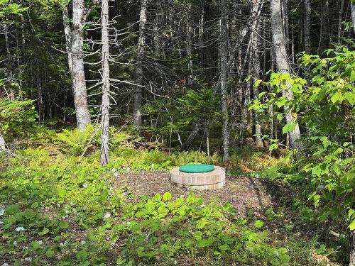 Marble Mountain Road, Big Harbour, NS 