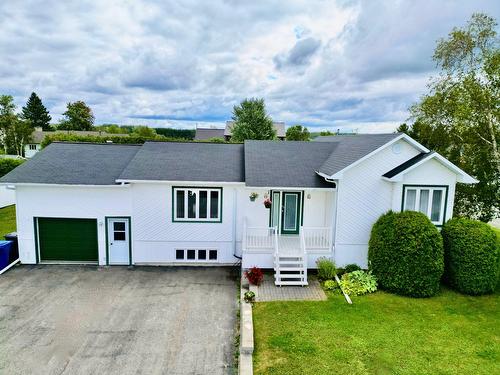 117 1re Rue  Notre-Dame-Du-Nord, QC J0Z 3B0