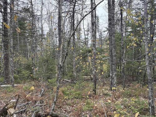 Lot 2 Highway 8, Harmony, NS 