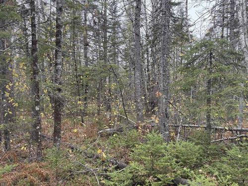 Lot 2 Highway 8, Harmony, NS 