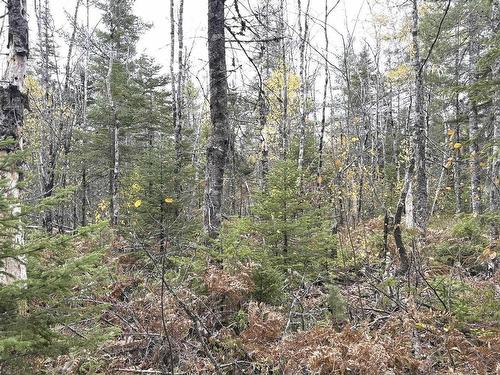 Lot 2 Highway 8, Harmony, NS 