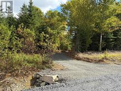 320 Sunset Boulevard  Whitbourne, NL A0B 3K0