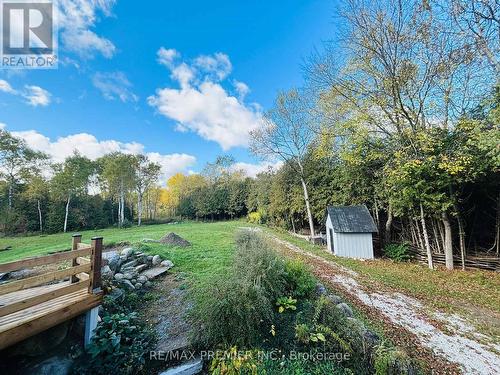 2506 Concession 10 N Nottawasaga Road, Collingwood, ON - Outdoor