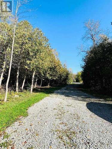 2506 Concession 10 N Nottawasaga Road, Collingwood, ON - Outdoor