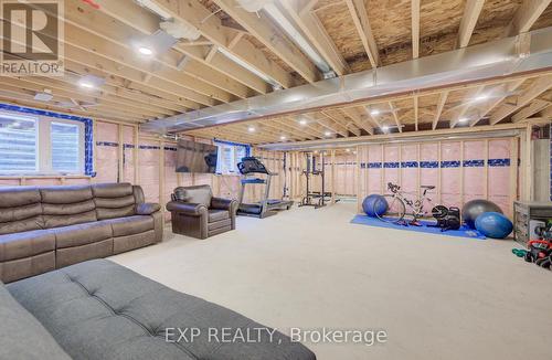 919 Union Street, Kitchener, ON - Indoor Photo Showing Basement