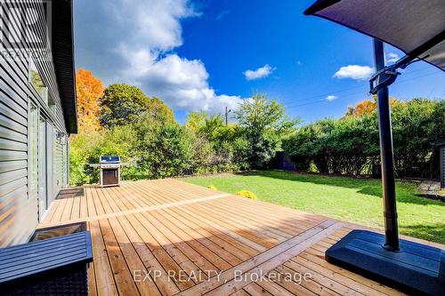 919 Union Street, Kitchener, ON - Outdoor With Deck Patio Veranda