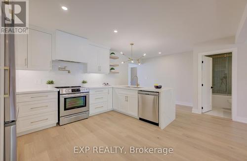 919 Union Street, Kitchener, ON - Indoor Photo Showing Kitchen With Upgraded Kitchen