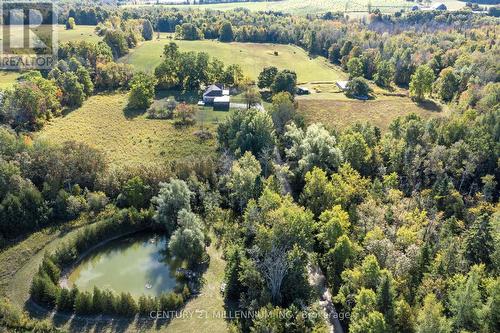 Over 66 acres of prime land in Town of Erin - 9639 Wellington Rd 22 Road, Erin, ON - Outdoor With View