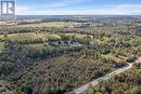 Long driveway surrounded by trees - 9639 Wellington Rd 22 Road, Erin, ON  - Outdoor With View 
