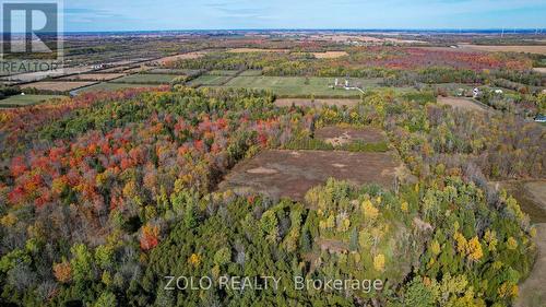 Looking north at cleared middle areas of property. - 000 Salmon Road, South Dundas, ON 