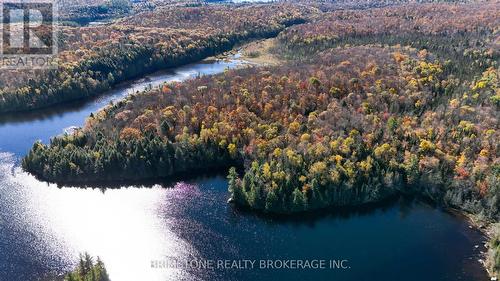 Row Over 1741 Paint Lake Rd Road, Lake Of Bays, ON 