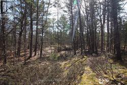 LOT 15 CONCESSION 9  Trent Lakes, ON K0L 1J0