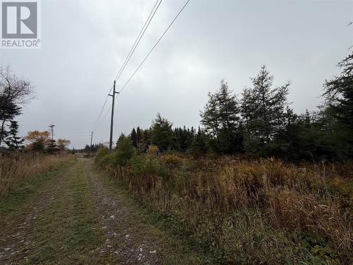 0 Tobins Road, St. John'S, NL 