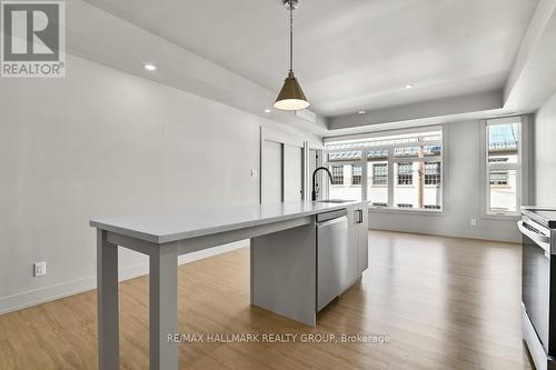 201 - 260 Armstrong Street, Ottawa, ON - Indoor Photo Showing Kitchen