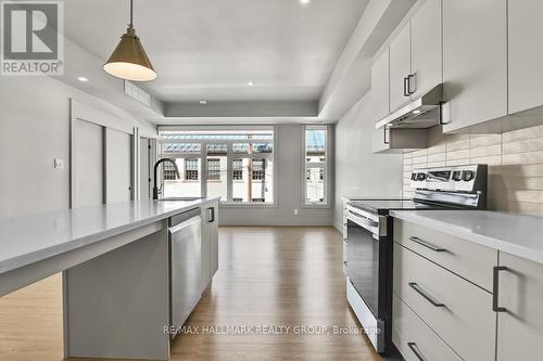 201 - 260 Armstrong Street, Ottawa, ON - Indoor Photo Showing Kitchen With Upgraded Kitchen
