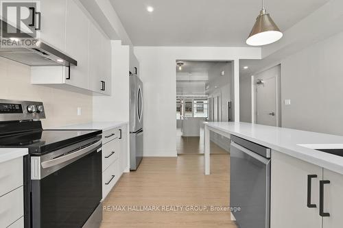 201 - 260 Armstrong Street, Ottawa, ON - Indoor Photo Showing Kitchen With Upgraded Kitchen