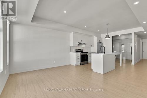 201 - 260 Armstrong Street, Ottawa, ON - Indoor Photo Showing Kitchen With Upgraded Kitchen