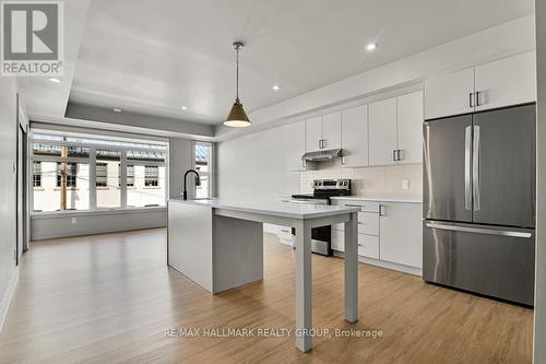 201 - 260 Armstrong Street, Ottawa, ON - Indoor Photo Showing Kitchen With Upgraded Kitchen