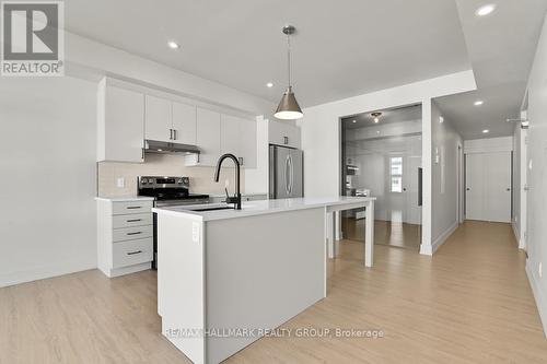201 - 260 Armstrong Street, Ottawa, ON - Indoor Photo Showing Kitchen With Upgraded Kitchen