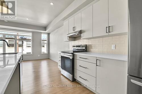 201 - 260 Armstrong Street, Ottawa, ON - Indoor Photo Showing Kitchen With Upgraded Kitchen