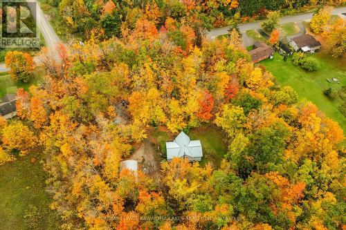 693 Balsam Lake Drive, Kawartha Lakes (Bexley), ON - Outdoor With View