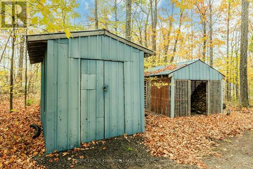 693 Balsam Lake Drive, Kawartha Lakes (Bexley), ON - Outdoor