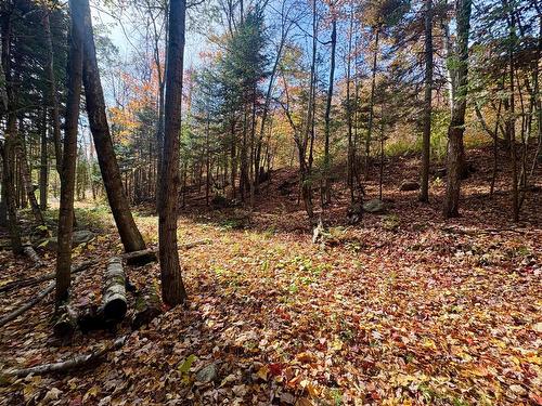 Land/Lot - Ch. De La Sauvagine, Mont-Blanc, QC 