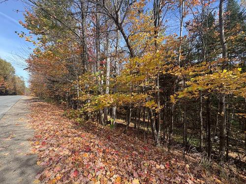 Land/Lot - Ch. De La Sauvagine, Mont-Blanc, QC 