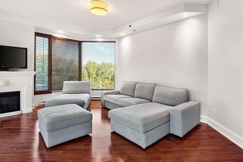 Salon - 304-200 Av. Des Sommets, Montréal (Verdun/Île-Des-Soeurs), QC - Indoor Photo Showing Living Room With Fireplace