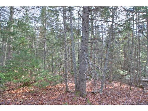 Lot 25-8 Creekview Lane, Galloway, NB 