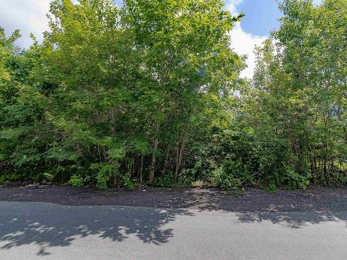 Mansion Avenue, Halifax, NS 