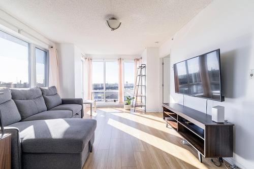 Living room - 1501-15 Boul. La Fayette, Longueuil (Le Vieux-Longueuil), QC - Indoor Photo Showing Living Room