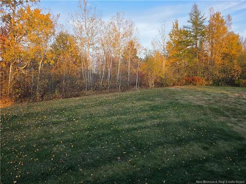 9 Jeremie Crt, Moncton, NB 