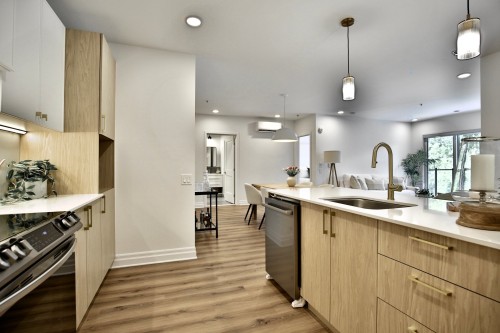 Kitchen - 211-2000 Rue Benoit, Saint-Bruno-De-Montarville, QC - Indoor Photo Showing Kitchen With Upgraded Kitchen