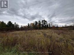 0 GODOLPHIN ROAD  Trent Hills (Warkworth), ON K0K 3K0