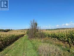 1315 CONCESSION 8 CONCESSION  Kincardine, ON N0G 2T0