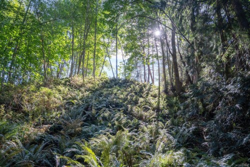 1189 Lee Rd, Parksville, BC - Outdoor