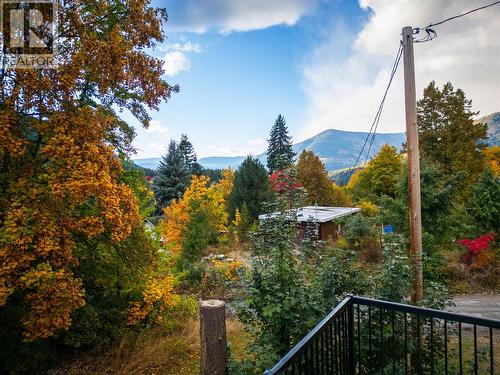 2102 Falls Street, Nelson, BC - Outdoor With View