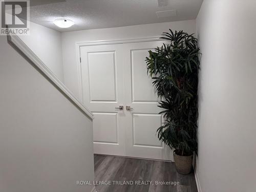 Lower - 41 Cortland Terrace, St. Thomas, ON - Indoor Photo Showing Other Room