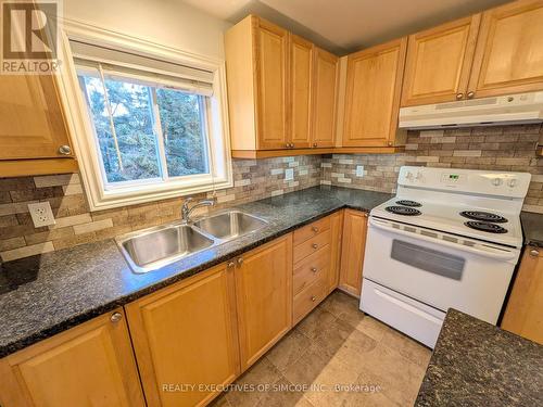 127 Innisfil Street, Barrie, ON - Indoor Photo Showing Kitchen With Double Sink