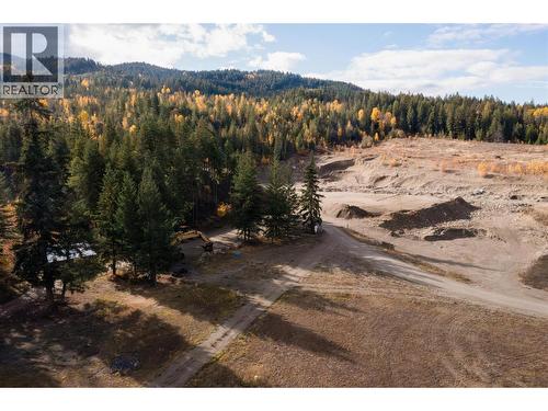 8336 Skimikin Road, Chase, BC - Outdoor With View