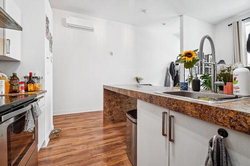 Cuisine - 103-4755 Av. Papineau, Montréal (Le Plateau-Mont-Royal), QC - Indoor Photo Showing Kitchen