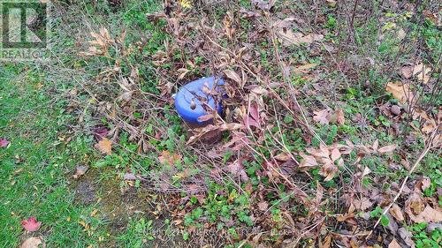 2772 8Th Line Road, Ottawa, ON 