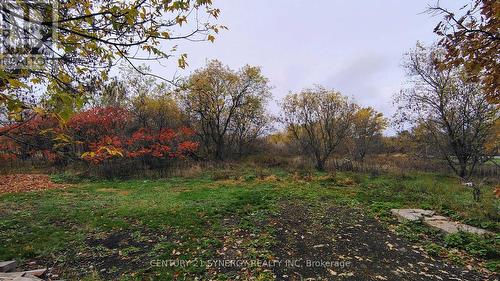 2772 8Th Line Road, Ottawa, ON 