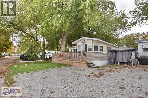 3 Maple Street, Leamington, ON - Outdoor