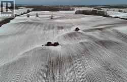 13119 TALBOT TRAIL  Ridgetown, ON N0P 2C0