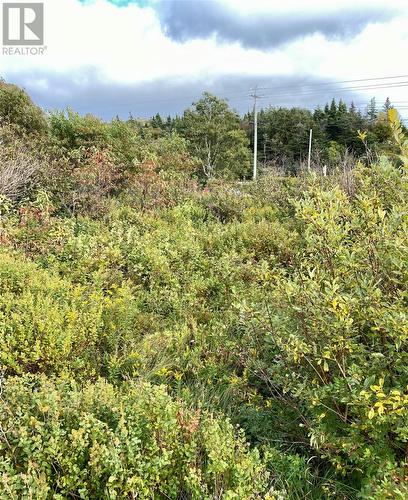 6-8 Old Road N, Salmon Cove, NL 