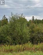 2 CHERRY HILL ROAD  Northern Bruce Peninsula, ON N0H 1W0