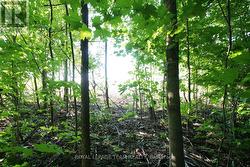 PTLT31 PLEASANT VALLEY ROAD  South Dundas, ON K0E 1W0