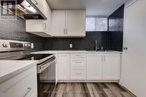 Unit C - 22 St James Street, Brantford, ON - Indoor Photo Showing Kitchen